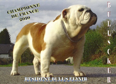 Bullscker - ELY CHAMPIONNE DE FRANCE